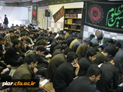 زیارت عاشورا