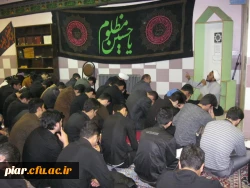 حضور پر ثمر مبلّغ دینی در پردیس امام علی (ع)