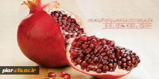 مگر می شود زندگی مرا به هم ریخته آفریده باشد؛ خدای دانه های انار