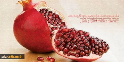 مگر می شود زندگی مرا به هم ریخته آفریده باشد؛ خدای دانه های انار