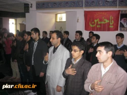 سیاه پوش بیست و هشتمین روز صفر، شانه به شانه آسمان فشرده در ابر مدینه مى گرییم.