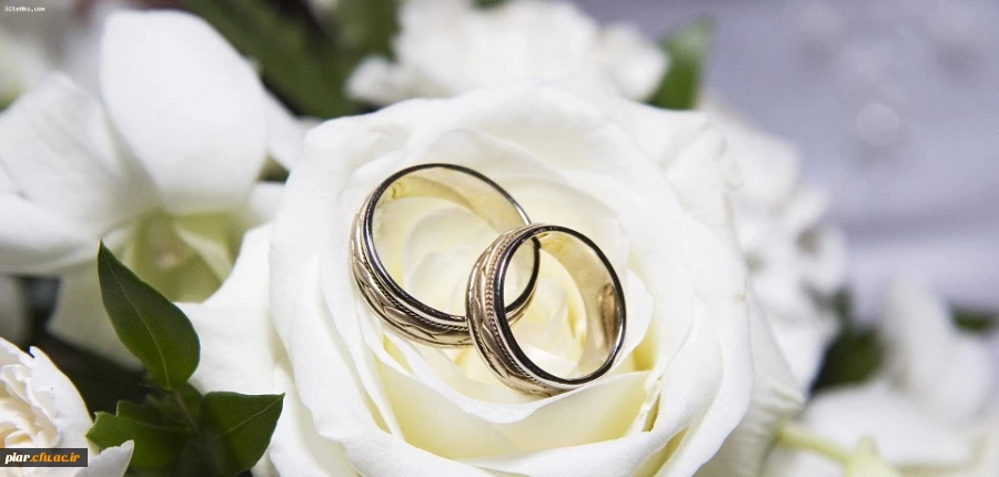 کاروان ازدواج اساتید