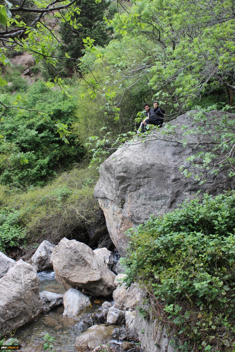 اردوی سیاحتی و زیارتی هرزویل