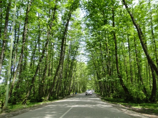 ثبت نام اردوی تفریحی - گردشگری