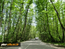 ثبت نام اردوی تفریحی - گردشگری