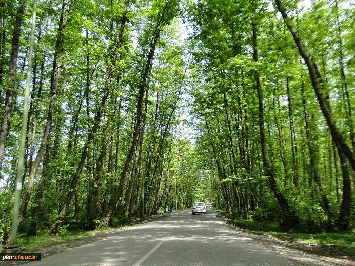 ثبت نام اردوی تفریحی - گردشگری