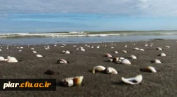 ثبت نام اردوی تفریحی - گردشگری