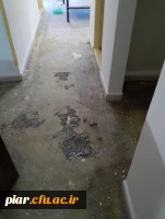 اردوی جهادی دانشجومعلمان پردیس امام علی(ع)