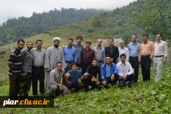 اردوی ییلاق روشن ده رضوان شهر