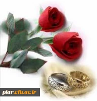 ازدواج دانشجوئی