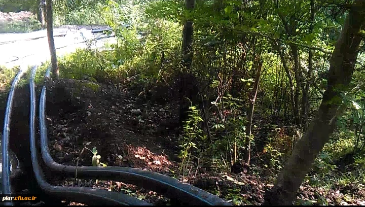 فازاول  اردوی جهادی بسیج دانشجویی پردیس امام علی (ع)