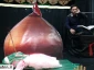 مراسم دهه اول محرم در حسینیه شهدای گمنام