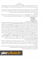 خطرات شبکه های اجتماعی