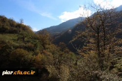 اردوی یکروزه به ییلاق ماسوله