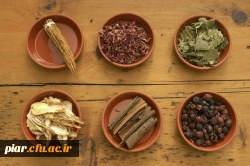 کارگاه هم اندیشی اساتید سبک زندگی اسلامی – ایرانی با موضوع طب سنتی