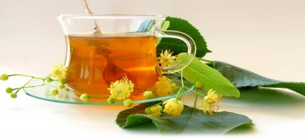 کارگاه هم اندیشی اساتید سبک زندگی اسلامی – ایرانی با موضوع طب سنتی