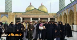 سفر زیارتی کربلای معلی – کاروان های زمینی و هوایی