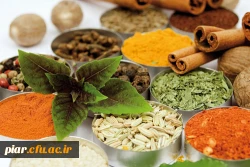 کارگاه آموزشی 