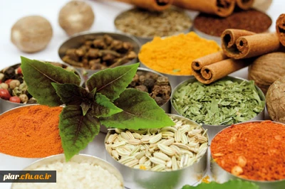 کارگاه آموزشی 