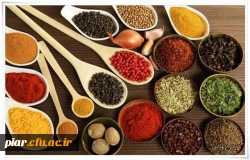 کارگاه آموزشی 