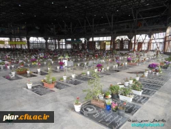 گلباران مزار شهدا