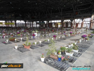 گلباران مزار شهدا