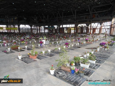 گلباران مزار شهدا