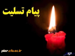 گلچین روزگار عجب خوش سلیقه است                     می چیند آن گلی که به عالم نمونه است