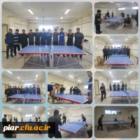 برگزاری مسابقه تنیس روی میز