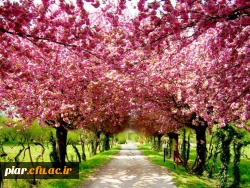 بهار رستاخیز طبیعت و حیات دوباره عالم