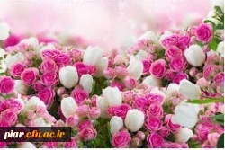 تبریک بابت رساله برتر آقای دکتر پورحبیبی 2