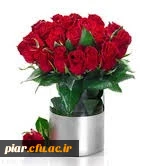 تبریک بابت موفقیت دانشجو معلمان در پژوهشگر برتر مرحله استانی 3