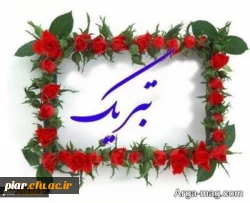 افتخار آفرینی دانشجومعلم محمد یاری در طرح555