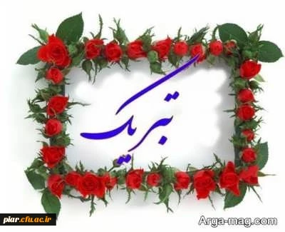 افتخار آفرینی دانشجومعلم محمد یاری در طرح555