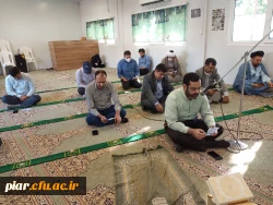 زیارت هفتگی زیارت عاشورا در دهه کرامت