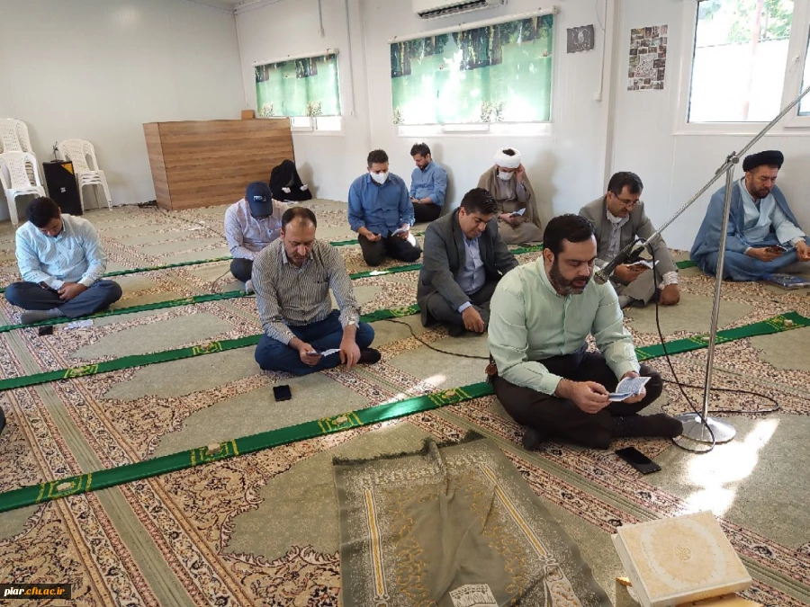 زیارت هفتگی زیارت عاشورا در دهه کرامت