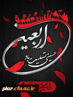 فلسفه قیام حسینی در زیارت اربعین 4